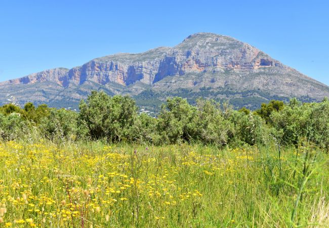 Chalet en Javea / Xàbia - Casa Markoli Javea - 5040