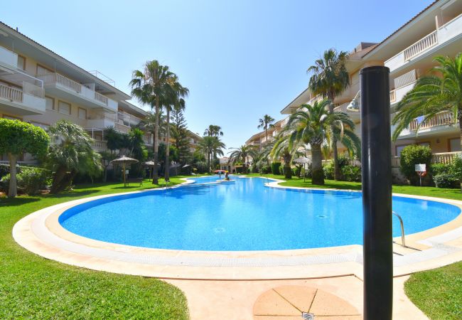 Apartamento en Javea / Xàbia - Apartamento Nou Fontana Javea - 5063