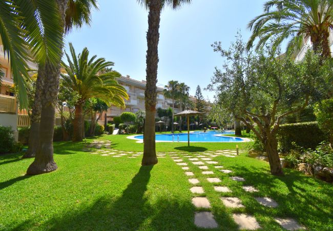 Apartamento en Javea / Xàbia - Apartamento Nou Fontana Javea - 5063