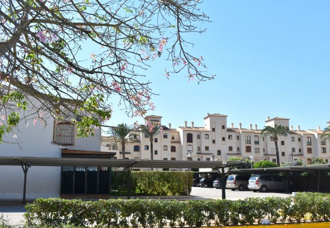 Apartamento en Javea / Xàbia - Apartamento La Isla Javea - 5081