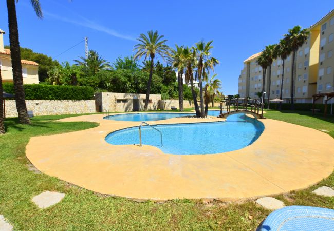 Apartamento en Javea / Xàbia - Apartamento Golden Gate Javea - 5005