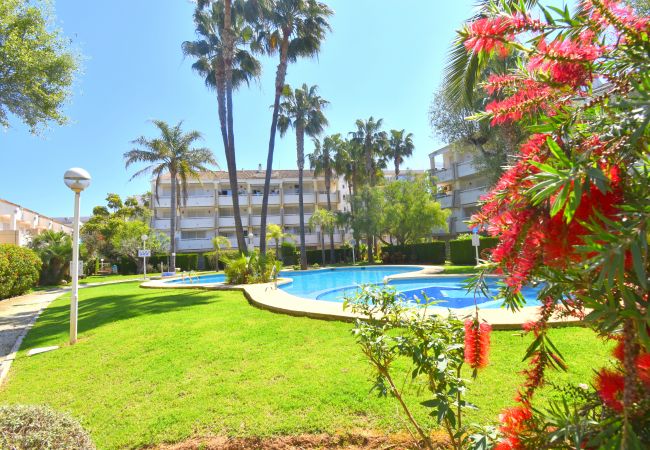 Apartamento en Javea / Xàbia - Apartamento Jardines del Saladar Javea - 5038